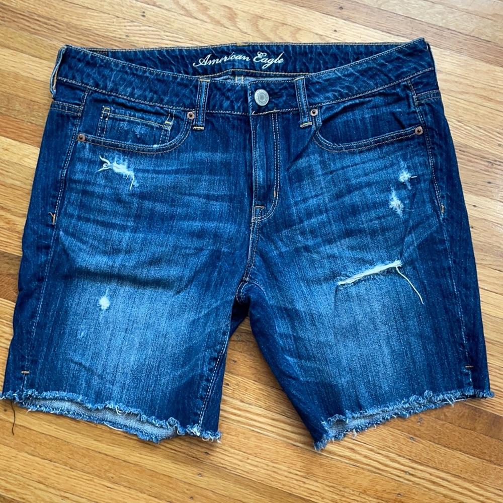 American Eagle Short